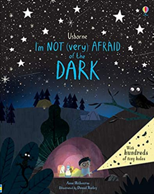 Link to buy picture book I'm Not (very) Afraid of the Dark